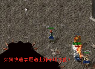 ��ο������յ�ʿʨ�Ӻ��ܣ�