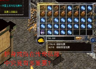 ������ָ�ڴ���˽���о����ж���Ҫ��