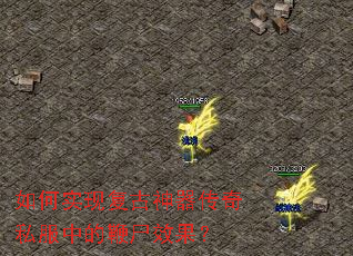 ���ʵ�ָ�����������˽���еı�ʬЧ����