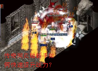 ������ҳ��������ο�������ս����