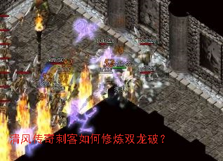 ��紫��̿��������˫���ƣ�