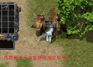 �����ֵԪ���ܻ����Щ�ƺţ�