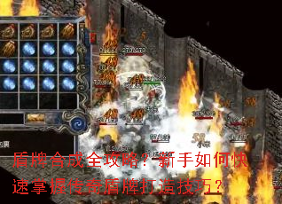 ���ƺϳ�ȫ���ԣ�������ο������մ�����ƴ��켼�ɣ�