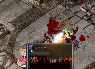 ��ʿװ����ôѡ�����ֱؿ�����