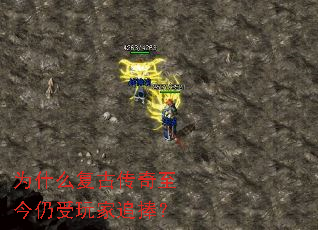 Ϊʲô���Ŵ��������������׷����