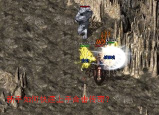 ������ο������ֺϻ����棿