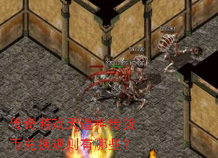 ������Ϸ����񴫻��Ҷһ���������Щ��