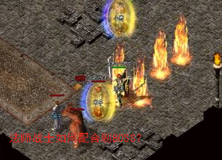 ��ʦսʿ������ˢBOSS��