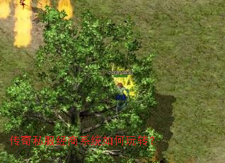 ����˽������ϵͳ�����ת��