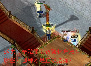 ��ʧ����˽��װ��ǿ����������Щ�����ֲ�����ȷѡ��