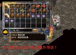 ����ħ��ʦ��ο��������ȼ���