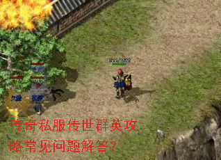 传奇私服传世群英攻略常见问题解答? 传奇私服传世群英攻略常见问题解答?