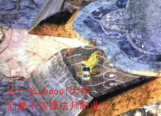 Ϊʲôzhaosf�����Ƕ���ѡ��ʦְҵ��