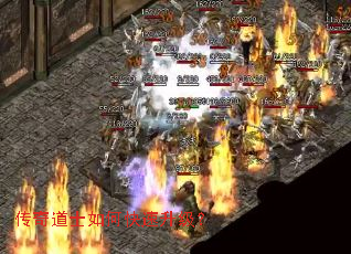 �����ʿ��ο���������