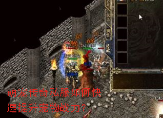 �ȳ贫��˽����ο�����������ս����