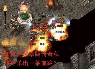 ����ڳ�Ĭ�洫��˽����ɱ��һ��Ѫ·��