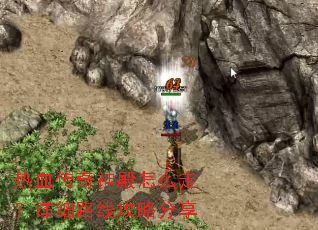 ��Ѫ���������ô�ߣ���ϸ·�߹��Է���