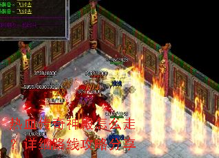 ��Ѫ���������ô�ߣ���ϸ·�߹��Է���