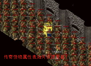 ����������Ա���ο��ٲ鿴��