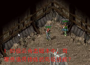 1.80��Ʒ�ϻ��汾�У�����Щֵ�������ĸ߼����ܣ�