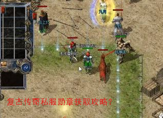 ���Ŵ���˽��ѫ�»�ȡ���ԣ�