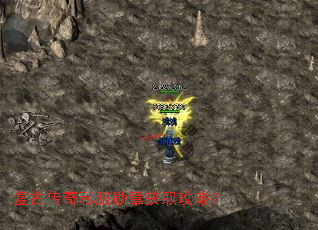 ���Ŵ���˽��ѫ�»�ȡ���ԣ�