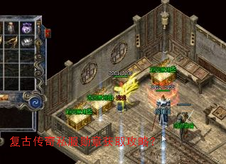 ���Ŵ���˽��ѫ�»�ȡ���ԣ�