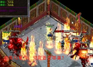 ��װ�뵥���������������