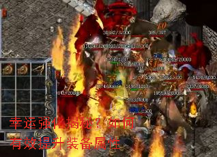 ����ǿ�����أ������Ч����װ������