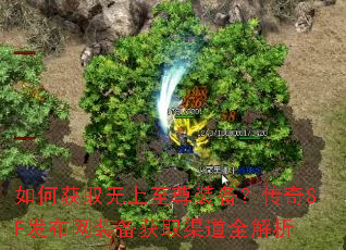 ��λ�ȡ��������װ��������SF������װ����ȡ����ȫ����