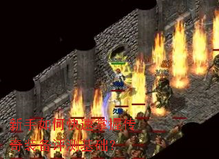 ������ο������մ���װ�����������