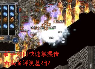 ������ο������մ���װ�����������