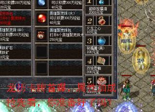 �����������أ����Լӳ����ȿ�����׼��������