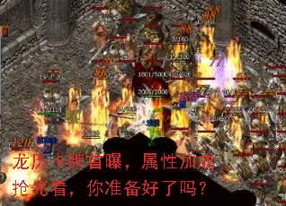 �����������أ����Լӳ����ȿ�����׼��������