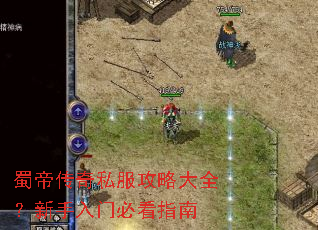 ��۴���˽�����Դ�ȫ���������űؿ�ָ��