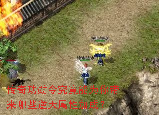 ���湦ѫ�����Ϊ�������Щ�������Լӳɣ�