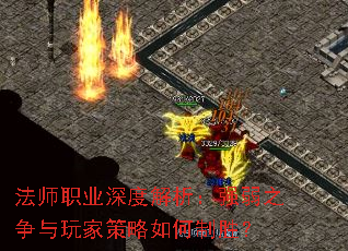 ��ʦְҵ��Ƚ�����ǿ��֮������Ҳ��������ʤ��