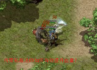 ����˽����ʦ�����Ч����Ѫ����