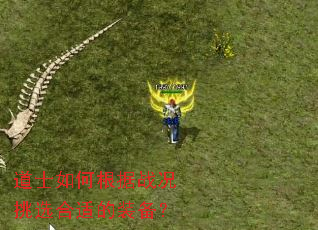 ��ʿ��θ���ս����ѡ���ʵ�װ����