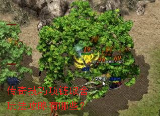 ���漼������ȡ���淨��������Щ��