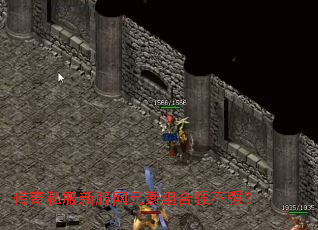 ����˽���·���Ԫ�����ǿ��ǿ��