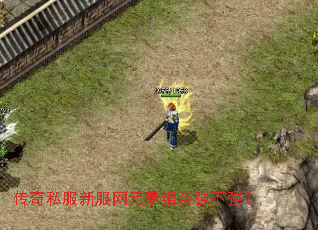 ����˽���·���Ԫ�����ǿ��ǿ��