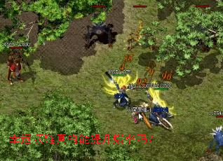 �����������������������