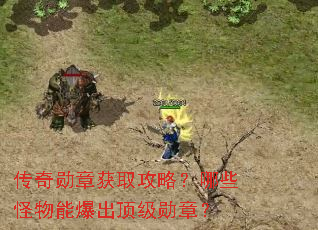 ����ѫ�»�ȡ���ԣ���Щ�����ܱ�������ѫ�£�