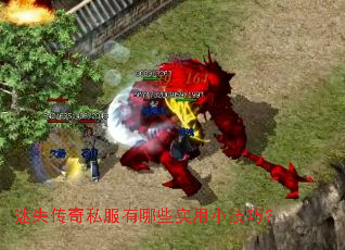 ��ʧ����˽������Щʵ��С���ɣ�