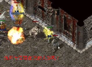 �¿�������������˶���