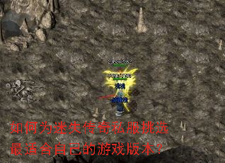 ���Ϊ��ʧ����˽����ѡ���ʺ��Լ�����Ϸ�汾��