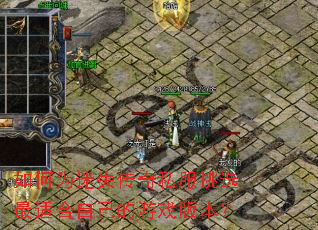 ���Ϊ��ʧ����˽����ѡ���ʺ��Լ�����Ϸ�汾��