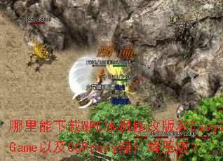 ����������WPE�����޸İ��Easy2Game�Լ�CCProxy��ɫ��ѹ�棿