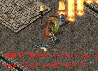 ����������WPE�����޸İ��Easy2Game�Լ�CCProxy��ɫ��ѹ�棿